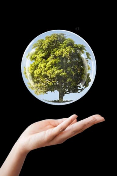 Hand holding a small globe with a tree